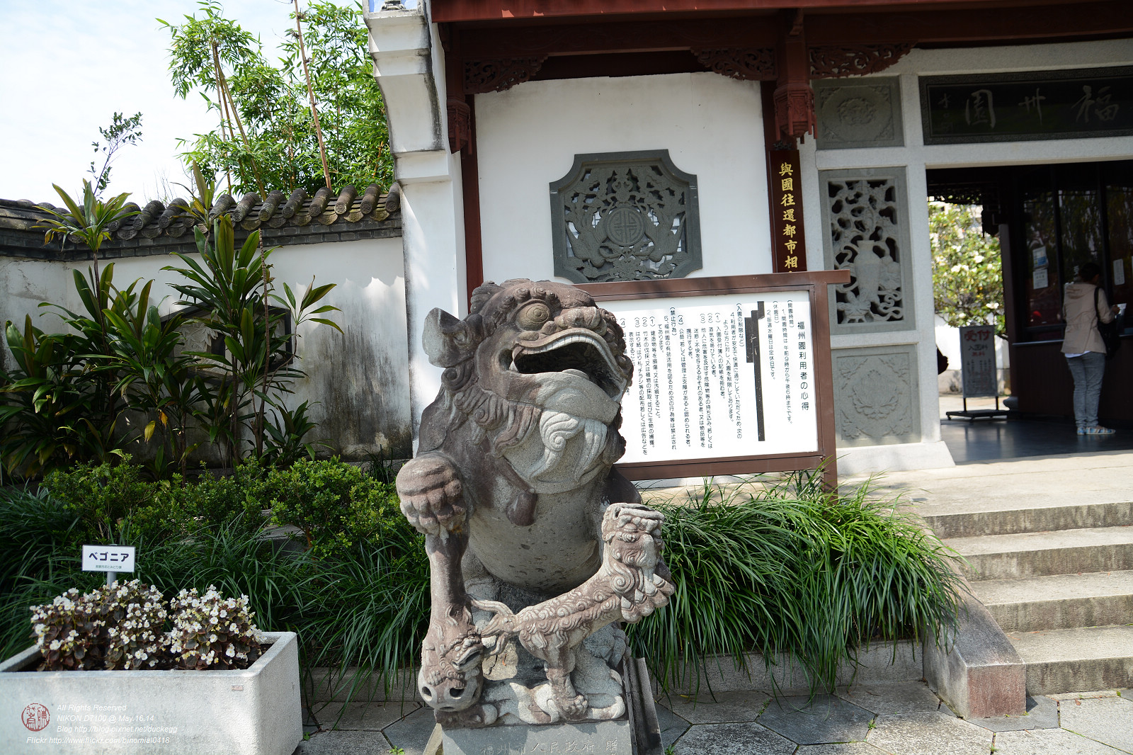DSC_3413.jpg